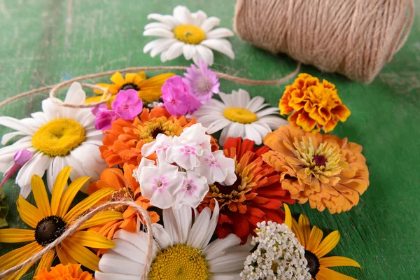 Verse kleurrijke bloemen — Stockfoto