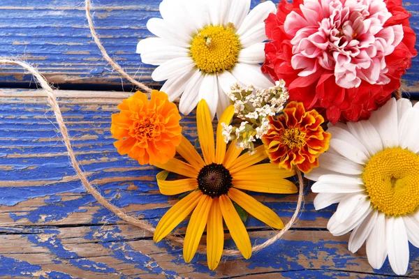 Fresh colorful flowers — Stock Photo, Image