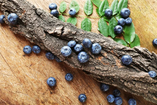 Fresh blueberries with tree on wooden table, closeup — Stock Photo, Image