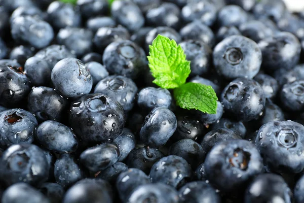 Leckere reife Blaubeeren mit grünen Blättern aus nächster Nähe — Stockfoto