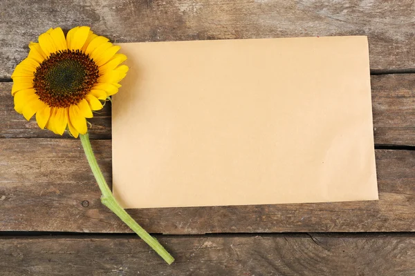 Blank card with beautiful sunflower — Stock Photo, Image