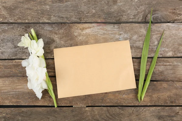 Tomma kort med vackra gladiolus — Stockfoto