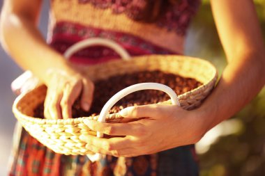 Kahve çekirdekleri dokunmadan erkek
