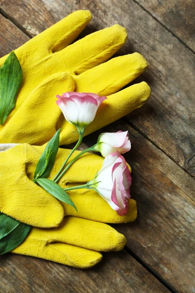 Blossom och trädgårdsmästarens gula handskar — Stockfoto