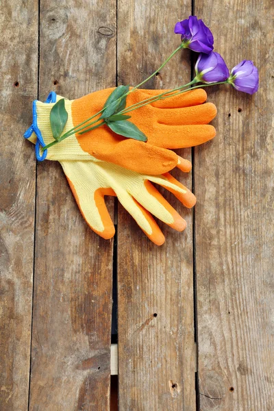 花和花园手套 — 图库照片