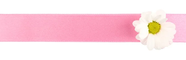 카모마일와 핑크 리본 — 스톡 사진