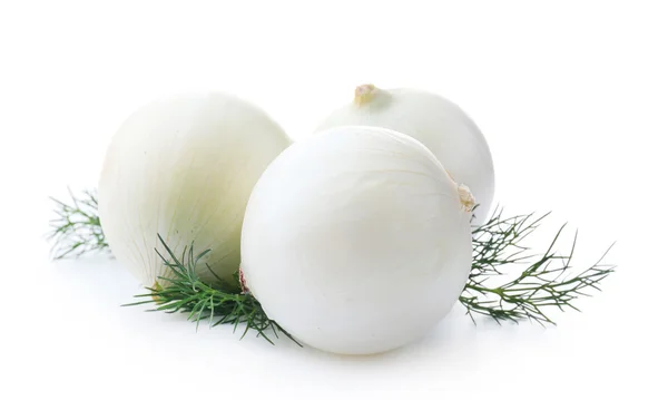 Hazırlanan soğan ve üzerinde beyaz izole dereotu — Stok fotoğraf