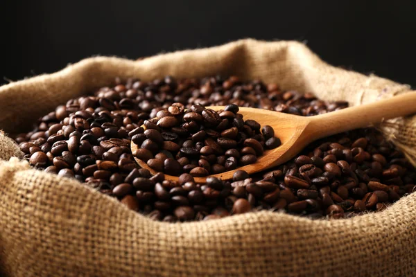 Sac with roasted coffee beans with spoon on dark background — Stock Photo, Image