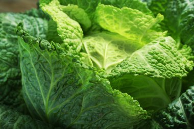 Savoy lahana arka plan, makro