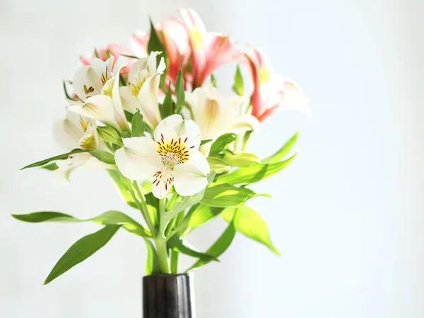 Lindas flores de primavera no fundo da janela macia close-up — Fotografia de Stock