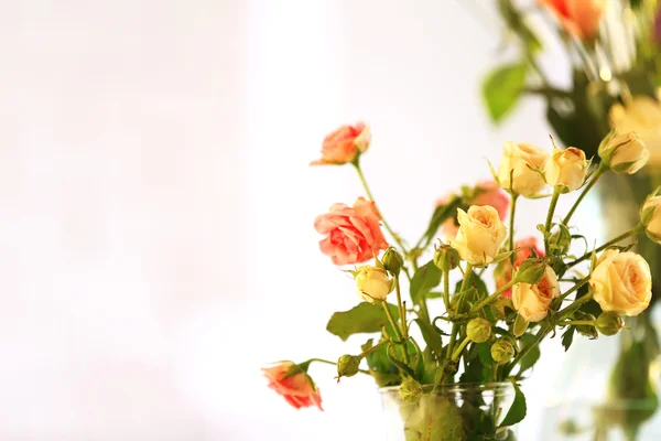 Hermosas flores de primavera — Foto de Stock