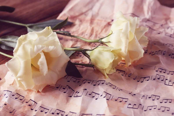 Mooie witte rozen op muzieknoten — Stockfoto