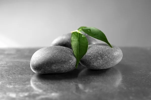 Composición de guijarros con hoja sobre la mesa sobre fondo gris —  Fotos de Stock