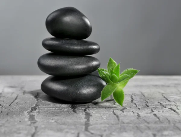 Pile of pebbles with leaf on the table against grey background — Stock Photo, Image