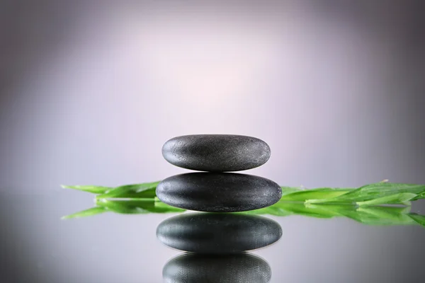 Piedras de spa y rama verde sobre fondo gris —  Fotos de Stock