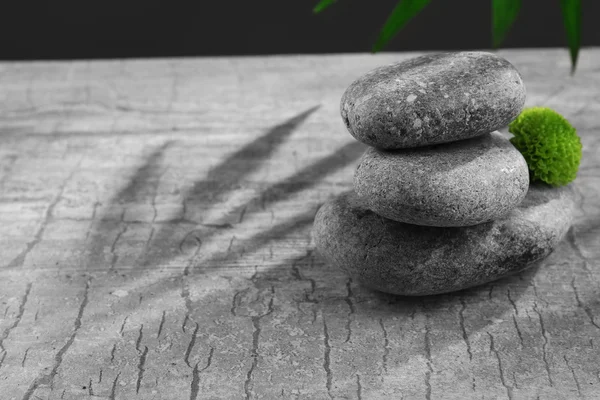 Piedras de spa y flor verde, sobre fondo gris oscuro — Foto de Stock