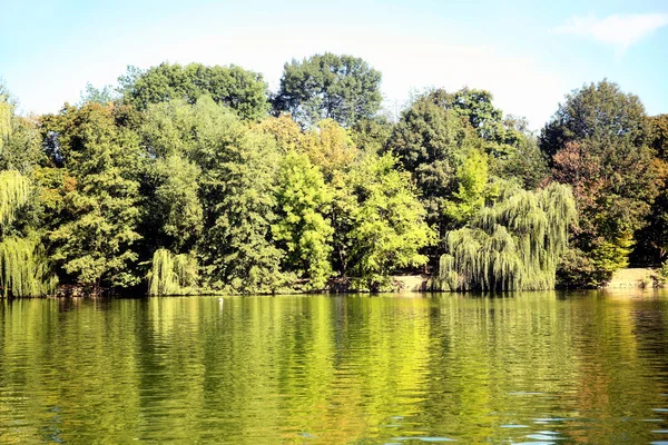 Árvores verdes junto ao lago em um dia ensolarado — Fotografia de Stock