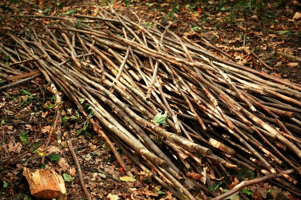 Muchas ramas de madera —  Fotos de Stock