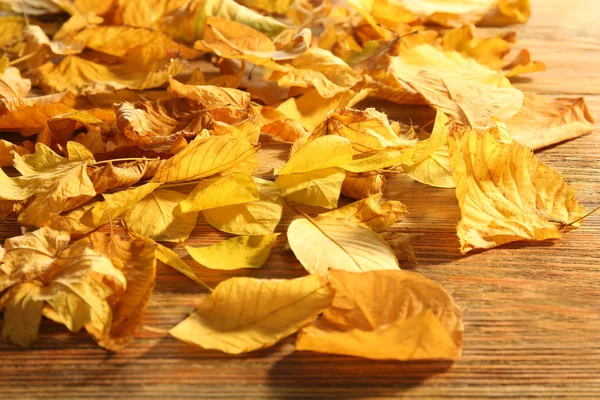 木製のテーブルに黄色の秋の葉 — ストック写真