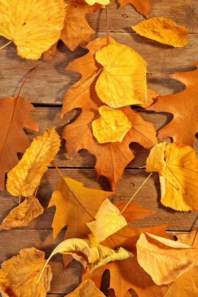 Hojas de otoño amarillas y marrones sobre mesa de madera, primer plano — Foto de Stock