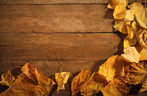 Feuilles d'automne jaunes et brunes sur fond bois — Photo