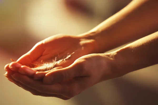 Hands holding a feather — Stock Photo, Image