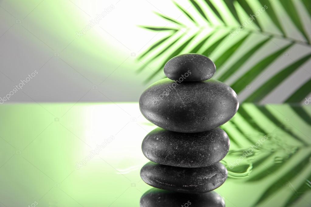Spa stones and green palm branch on light green background