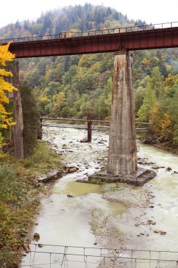 Ormanın içinden akan nehir