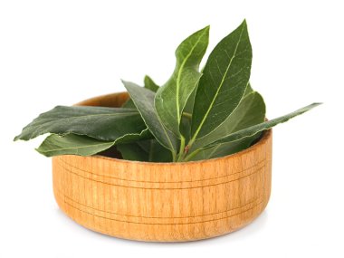 taze defne yaprağı