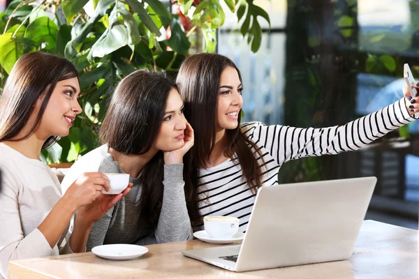 Melhores amigos com laptop — Fotografia de Stock