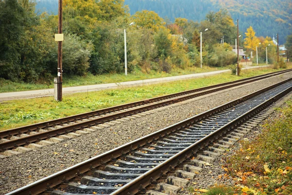 Spoorlijn bijhouden over groene bomen achtergrond — Stockfoto