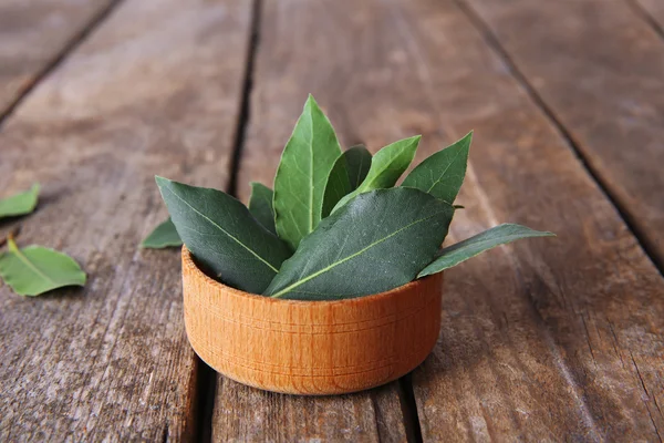 Fresh bay leaves — Stock Photo, Image