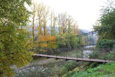 Ormandaki eski köprü