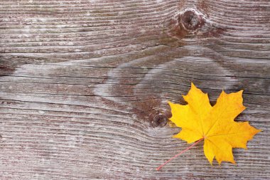 Ahşap zemin üzerinde sarı yaprak