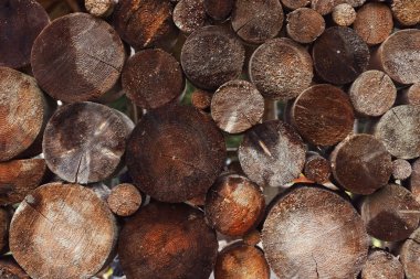 arka plan eski sawed woods ile