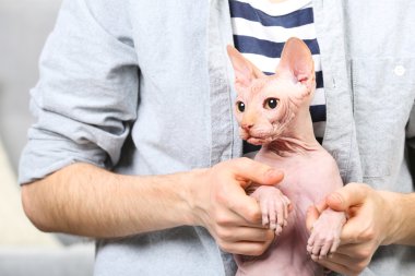 Genç adam bir kedi closeup holding