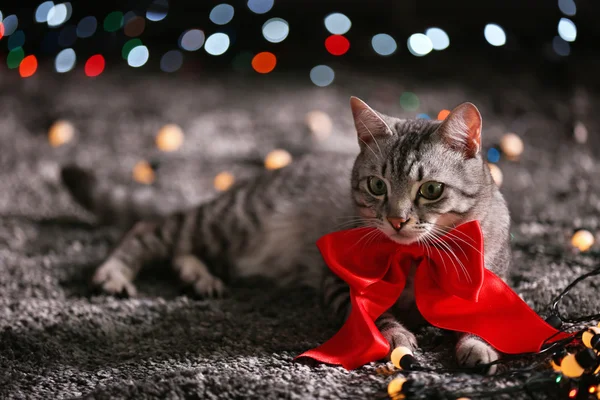 Piękny kot w pobliżu Choinka z dekoracji — Zdjęcie stockowe