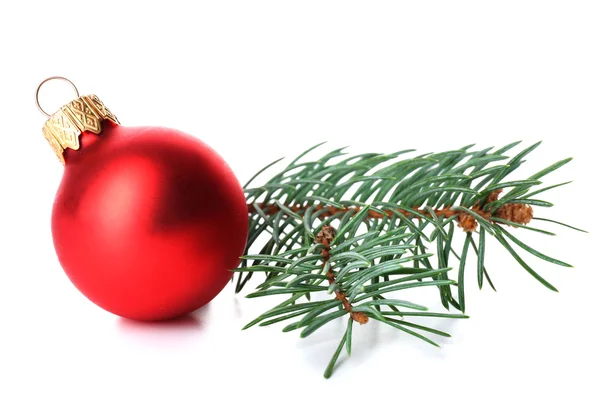 Red Christmas ball with pine — Stock Photo, Image