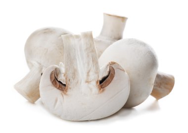 Taze şampiyon mantarları 