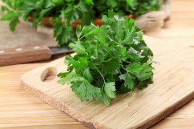 taze yeşil maydanoz