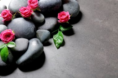 taşların oluşumunu Spa