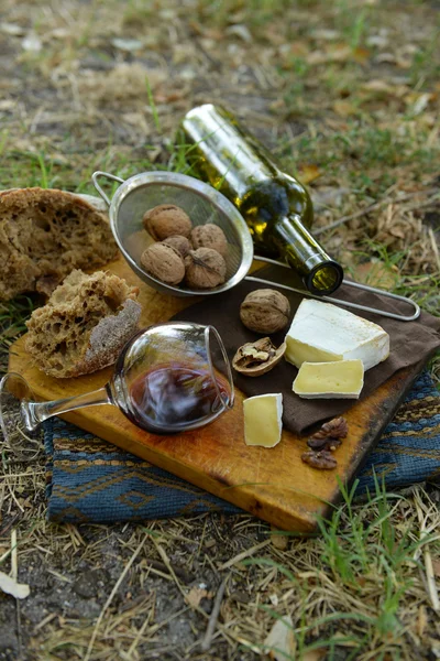 Schöne Picknick-Komposition — Stockfoto