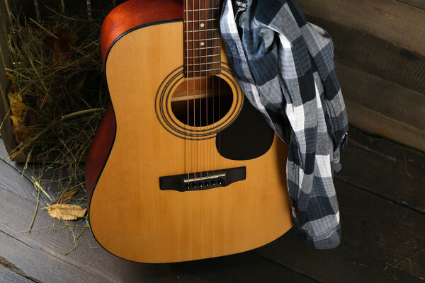 Acoustic guitar and blue checkered shirt