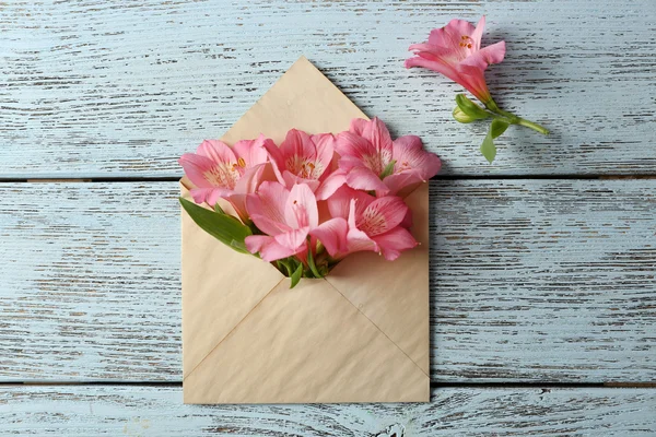 Pink alstroemeria in envelope — Stock Photo, Image
