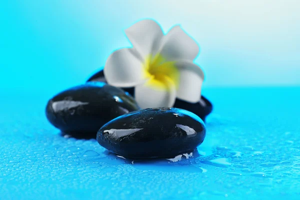 Spa stones and flower — Stock Photo, Image