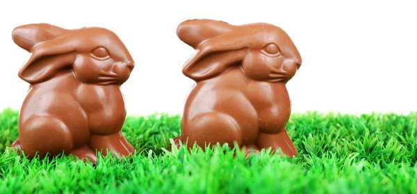 Lapins de Pâques au chocolat sur herbe verte — Photo