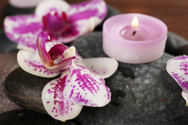 Spa stenen en orchideeën — Stockfoto