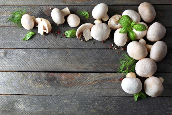 Čerstvé houby rám — Stock fotografie