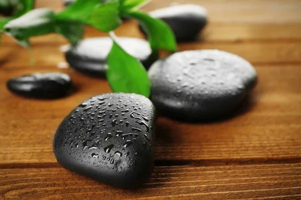 Spa stones and bamboo branch — Stock Photo, Image