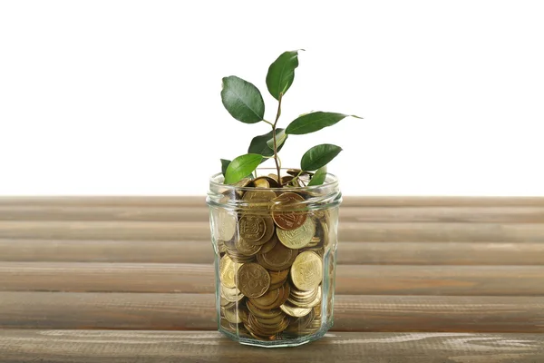 Plant growing in bowl of coins — Stock Photo, Image